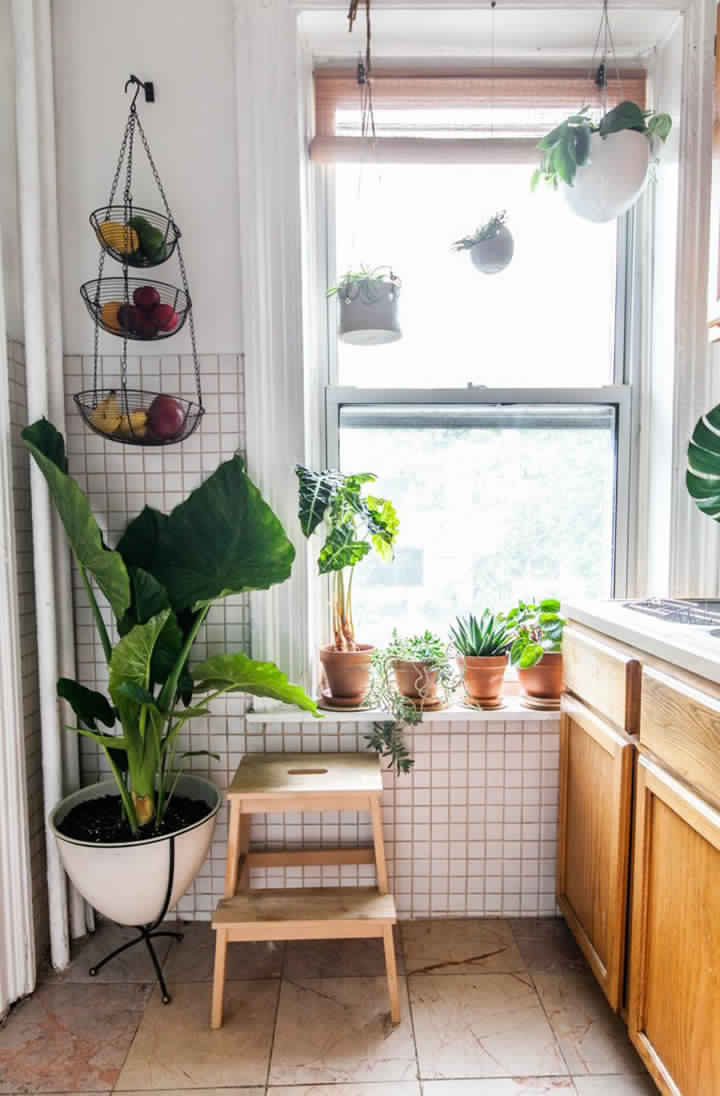 hanging and standing potted plants kitchen Great Ways to Make Your Dream Green Kitchen - 22