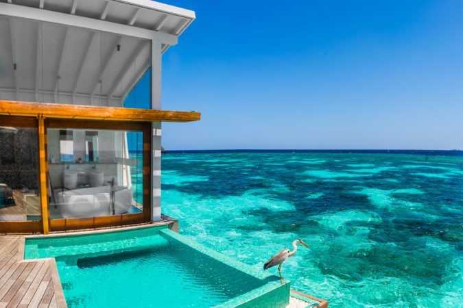 The 8 Most Luxurious Hotels in the World 19 Kondolhu Maldives 2 The 8 Most Luxurious Hotels in the World - 19