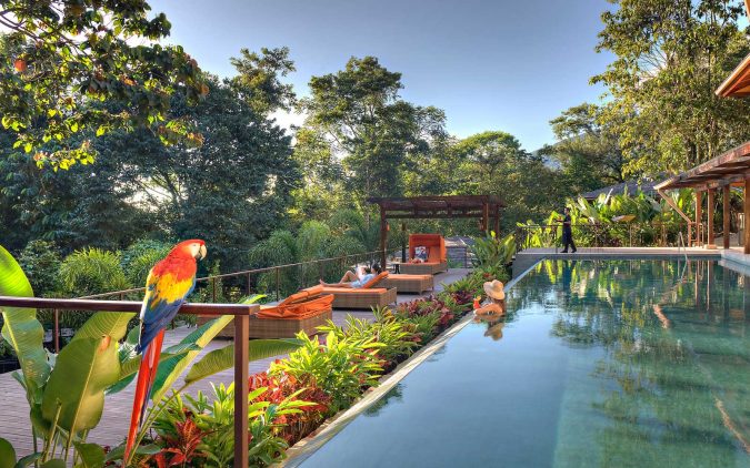 The 8 Most Luxurious Hotels in the World 3 Nayara Springs pool OVNSCR0817 The 8 Most Luxurious Hotels in the World - 3