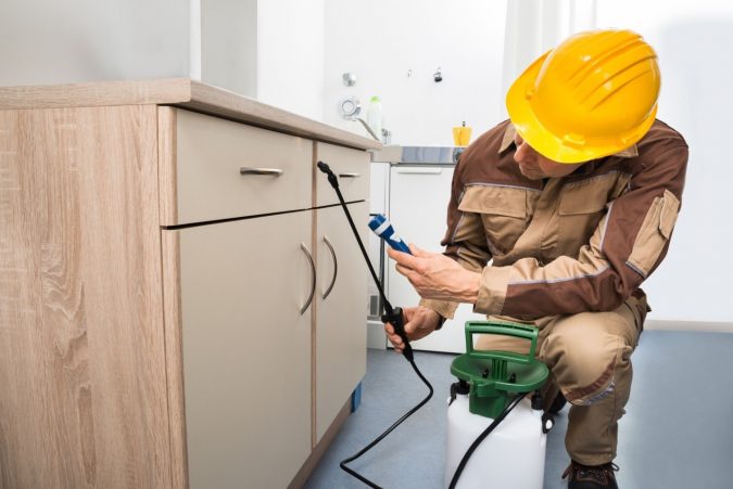 Toronto Pest Control Service 1 Protecting the Pantry - 6 Tips for Keeping Your Food Safe from Pests This Season - 2