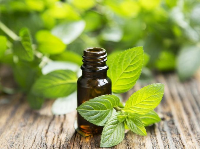 peppermint-oil-mint-leaves.jpg.838x0_q80-675x505 Protecting the Pantry - 6 Tips for Keeping Your Food Safe from Pests This Season