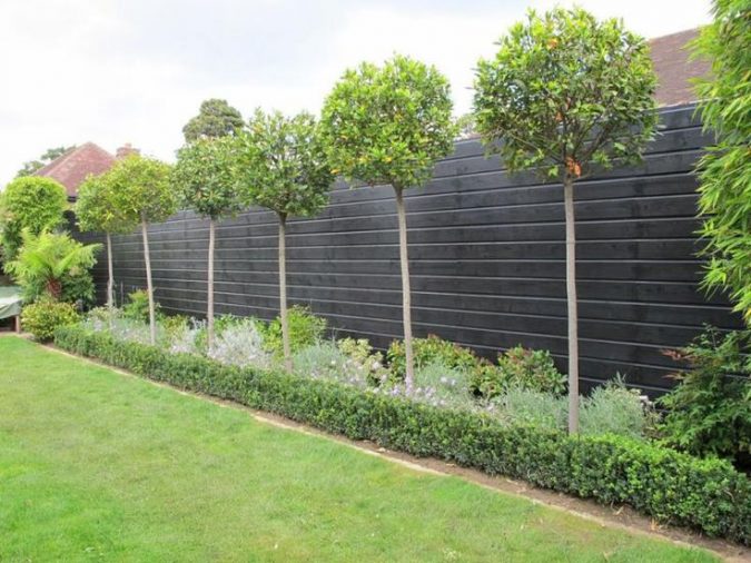 Fencing Exclusive Tips To Transform Your Garden on a Budget - 5