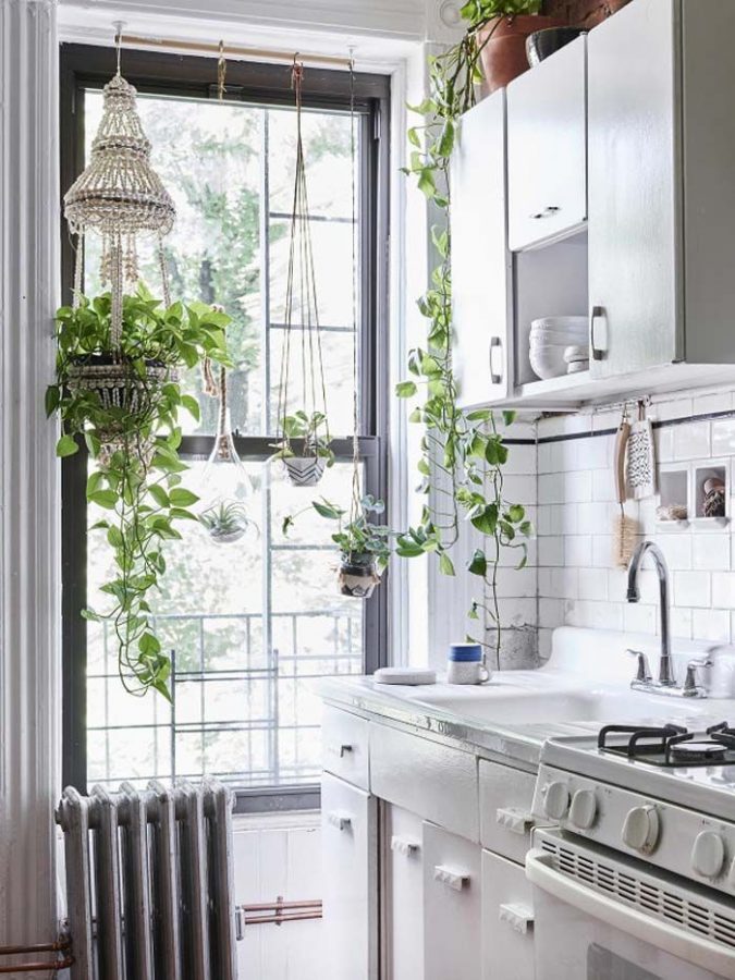 white kitchen with plants Top 10 Best White Bright Kitchen Design Ideas - 19