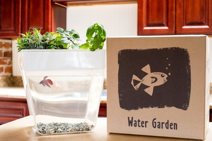 15 Best Things to Consider Before Presenting a Gift 21 Fish Bowl Planter 15 Best Things to Consider Before Presenting a Gift - 21