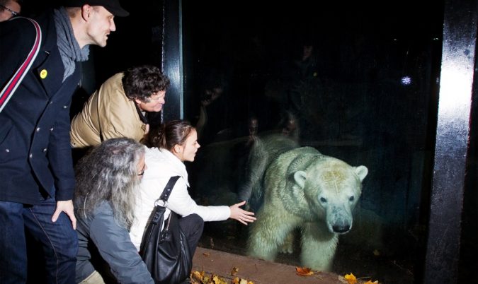 Top 10 Things to Do in Prague Evenings 15 Prague Zoo in the evening Top 10 Things to Do in Prague Evenings - 15