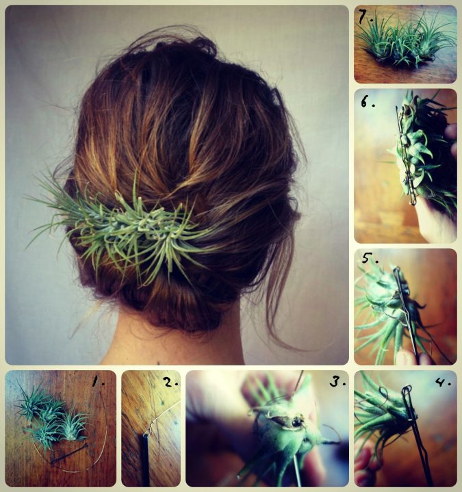 Top 10 Unusual Hair Products to Use 13 plants hair accessories 2 Top 10 Unusual Hair Products to Use - 13