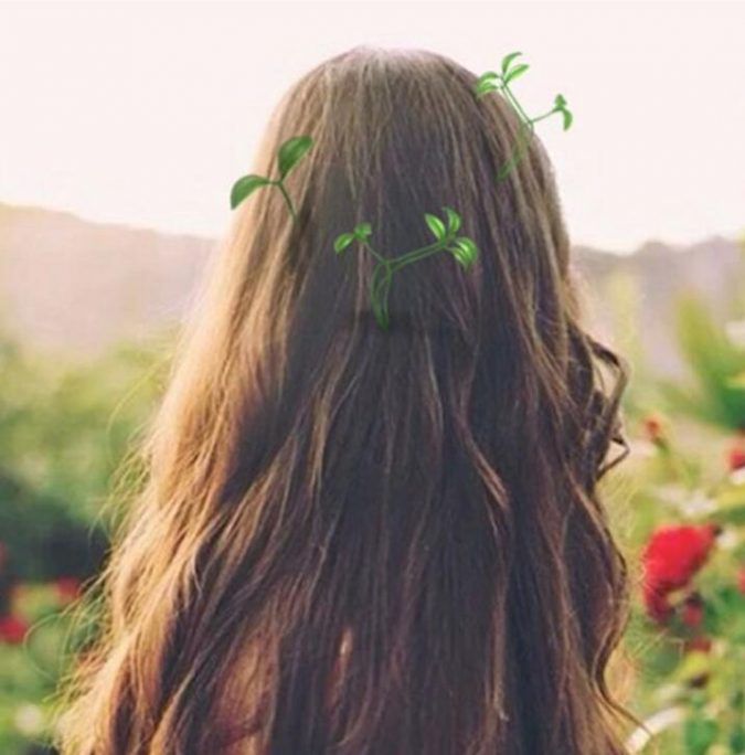 plants hair accessories Top 10 Unusual Hair Products to Use - 12