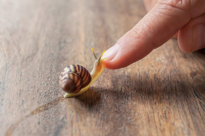 Top 10 Unusual Cosmetic Products 7 snail cream for skin Top 10 Unusual Cosmetic Products - 7