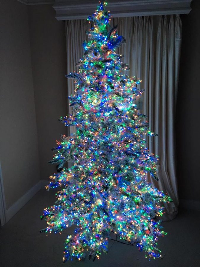 Christmas Tree With Multicolor Lights Top 10 Christmas Decoration Ideas & Trends - 21