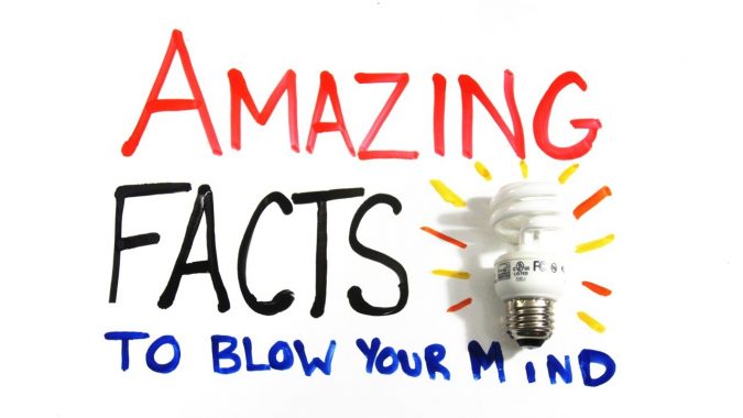 What You Need To Know About College 3 Interesting Facts About Colleges What You Need To Know About College - 3