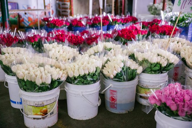 LA floral destrict Top 10 Cool & Unusual Things to Do in Los Angeles - 20