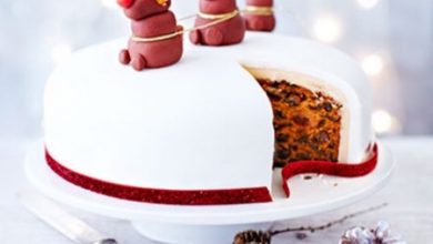 Rudolph Christmas cake Top 10 Mouth-watering Christmas Cake Decorations - Health & Nutrition 2