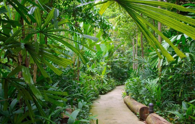 The 12 Most Relaxing and Meditative Holiday Destinations in Asia 17 The Bukit Timah Nature Reserve Asian travel destinations 2 1 The 12 Most Relaxing and Meditative Holiday Destinations in Asia - 17