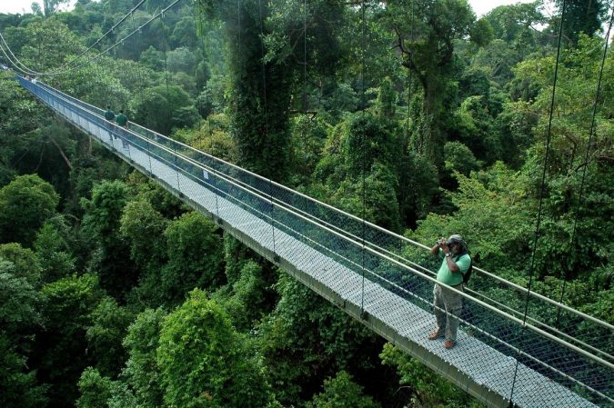 The Bukit Timah Nature Reserve Asian travel destinations The 12 Most Relaxing and Meditative Holiday Destinations in Asia - 16