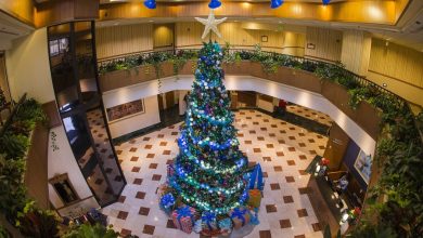 hotel reception in Christmas season Top 10 Exclusive Tips to Find Cheapest Hotel Deals - 62