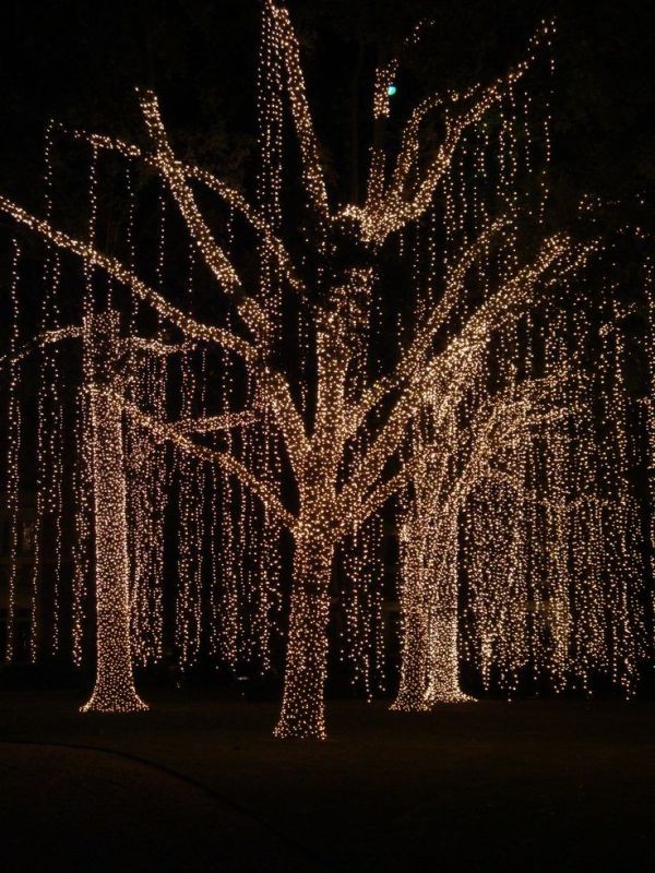 98+ Magical Christmas Light Decoration Ideas for Your Yard 108 outdoor Christmas light decoration ideas 106 98+ Magical Christmas Light Decoration Ideas for Your Yard - 108