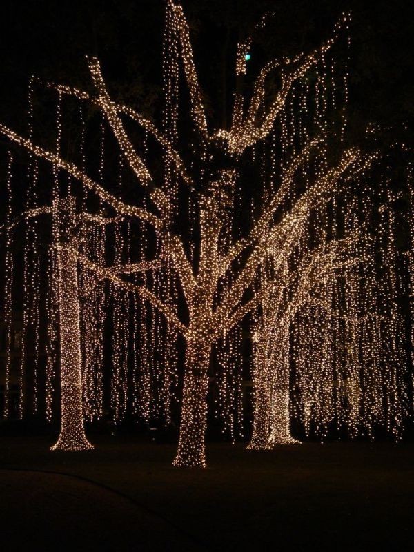 outdoor-Christmas-light-decoration-ideas-106 98+ Magical Christmas Light Decoration Ideas for Your Yard