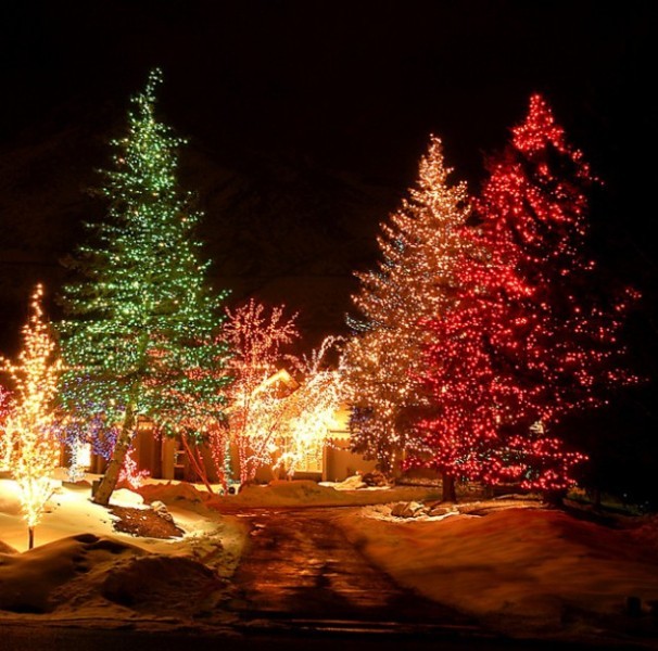 98+ Magical Christmas Light Decoration Ideas for Your Yard 116 outdoor Christmas light decoration ideas 114 98+ Magical Christmas Light Decoration Ideas for Your Yard - 116