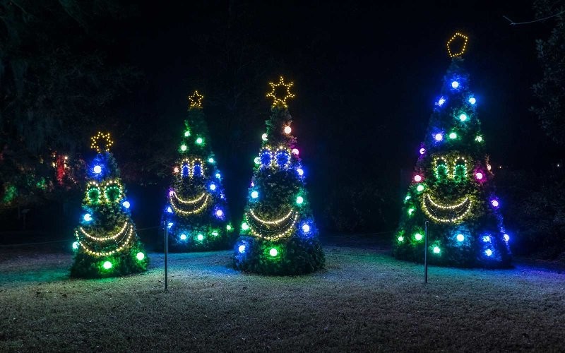 98+ Magical Christmas Light Decoration Ideas for Your Yard 139 outdoor Christmas light decoration ideas 137 98+ Magical Christmas Light Decoration Ideas for Your Yard - 139