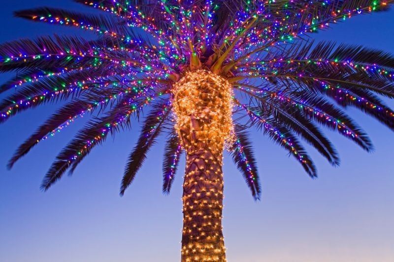 98+ Magical Christmas Light Decoration Ideas for Your Yard 152 outdoor Christmas light decoration ideas 150 98+ Magical Christmas Light Decoration Ideas for Your Yard - 152