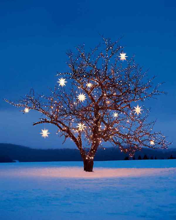 98+ Magical Christmas Light Decoration Ideas for Your Yard 85 outdoor Christmas light decoration ideas 83 98+ Magical Christmas Light Decoration Ideas for Your Yard - 85