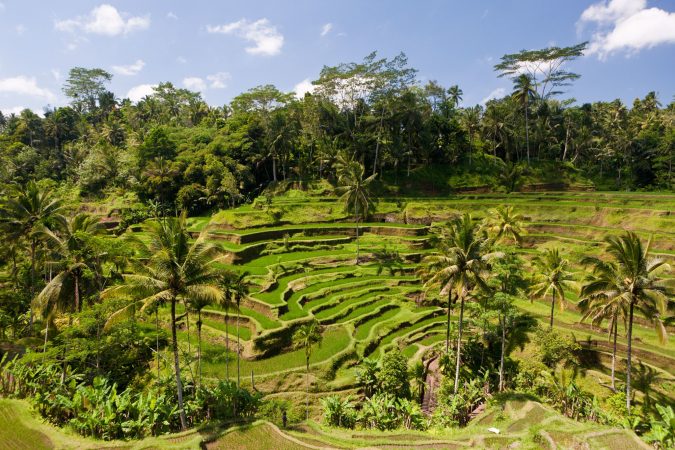 tegalalang rice terrace ubud Asian travel destination The 12 Most Relaxing and Meditative Holiday Destinations in Asia - 26