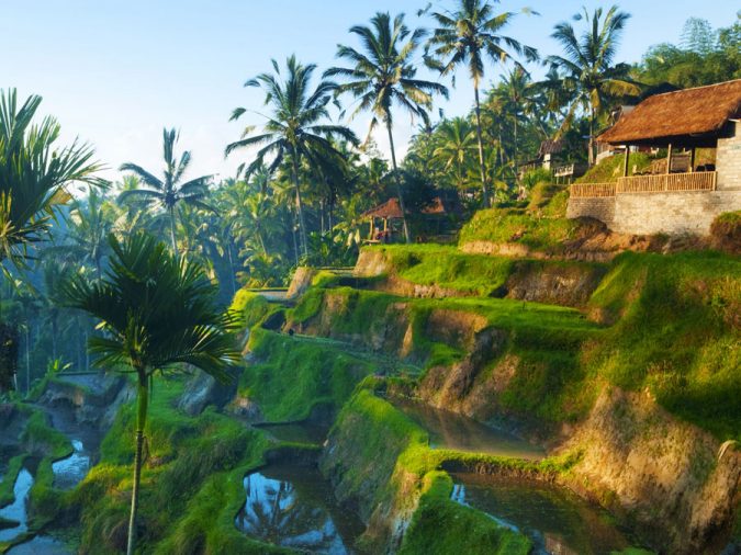 The 12 Most Relaxing and Meditative Holiday Destinations in Asia 26 ubud Asian travel destination The 12 Most Relaxing and Meditative Holiday Destinations in Asia - 26