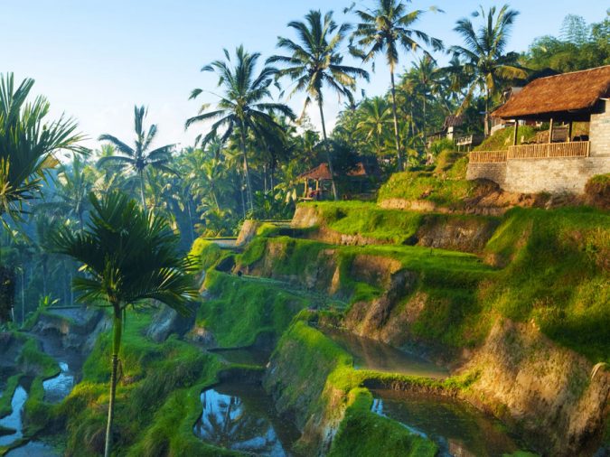 ubud-Asian-travel-destination-675x506 The 12 Most Relaxing and Meditative Holiday Destinations in Asia