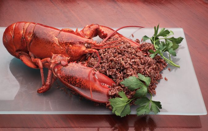 Lobster and red rice Top 10 Surprising Health Benefits of Lobster - 20