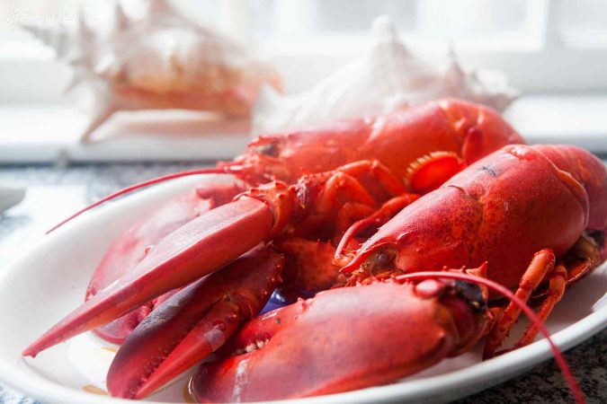lobster 3 Top 10 Surprising Health Benefits of Lobster - 6