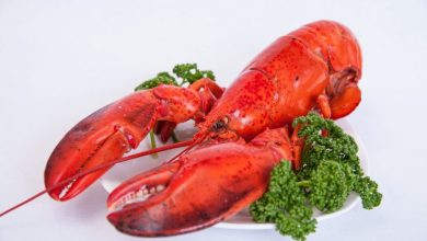 lobster 4 2 Top 10 Surprising Health Benefits of Lobster - 8 muscle