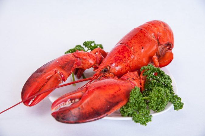 lobster-4-2-675x450 Top 10 Surprising Health Benefits of Lobster