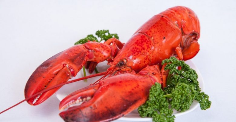 lobster 4 2 Top 10 Surprising Health Benefits of Lobster - lobster 1