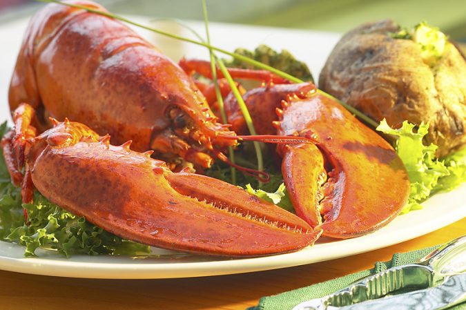 lobster-6-675x449 Top 10 Surprising Health Benefits of Lobster