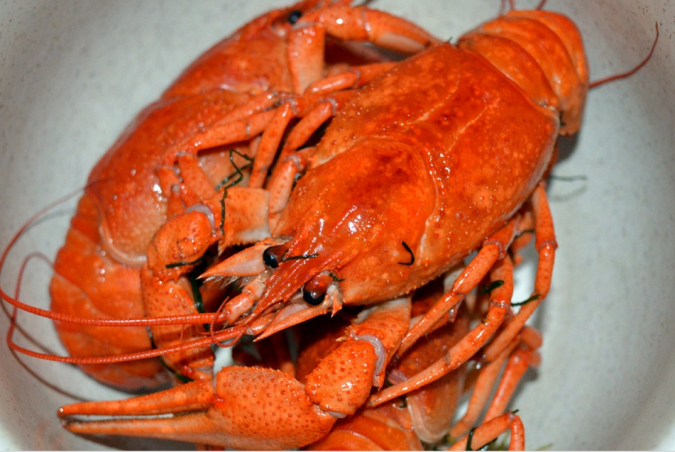 lobsters-2-675x452 Top 10 Surprising Health Benefits of Lobster