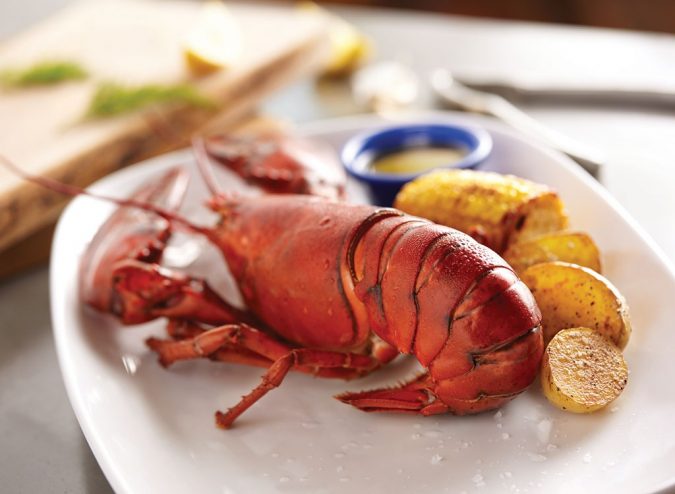 red-lobster-Maine-Lobster-675x494 Top 10 Surprising Health Benefits of Lobster