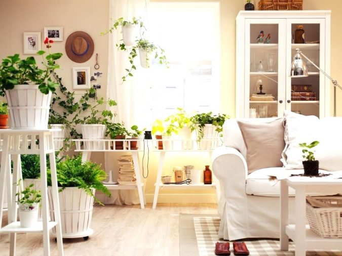 indoor plants decor 5 Ways to Create a Relaxing Atmosphere - 11