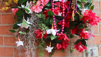 Fat Tuesday is Coming! 11 Classy Mardis Gras Wreaths for Your Front Door 85 word image 7 Fat Tuesday is Coming! 11 Classy Mardis Gras Wreaths for Your Front Door - 85