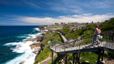 4 Must-Try Things to Do in North Sydney 67 Things to Do in North Sydney 4 Must-Try Things to Do in North Sydney - 67