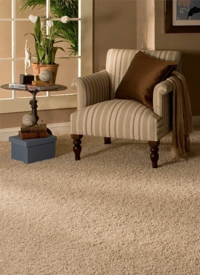 wool-carpet-cleaning-classic-living-room-furniture-675x929 Top 10 Innovative Flooring For Your New House