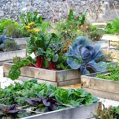 Design-A-Mini-Vegetable-Garden How To Revamp Your Garden In A Whole New Way