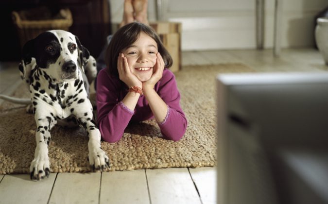 7 Fun Ways To Celebrate Your Dog's Birthday 9 dog watching tv 7 Fun Ways To Celebrate Your Dog's Birthday - 9