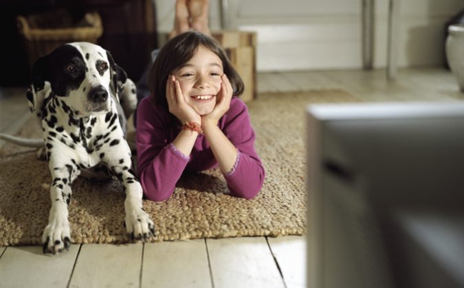 dog-watching-tv-675x420 7 Fun Ways To Celebrate Your Dog's Birthday