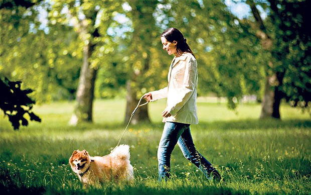 7 Fun Ways To Celebrate Your Dog's Birthday 3 dogwalking 2492971b 7 Fun Ways To Celebrate Your Dog's Birthday - 3