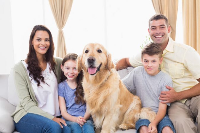 happy-family-sitting-golden-retriever-sofa-portrait-home-50493491-675x450 7 Fun Ways To Celebrate Your Dog's Birthday