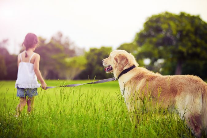 7 Fun Ways To Celebrate Your Dog's Birthday 2 strolling with a dog 7 Fun Ways To Celebrate Your Dog's Birthday - 2