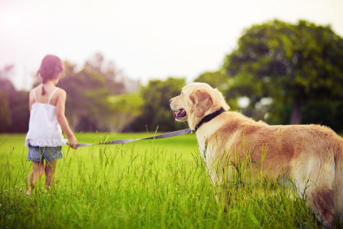 strolling with a dog 7 Fun Ways To Celebrate Your Dog's Birthday - 2