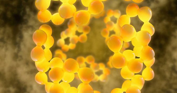 Top 10 Hormones That Help You Lose Weight 5 Adiponectin Top 10 Hormones That Help You Lose Weight - 5
