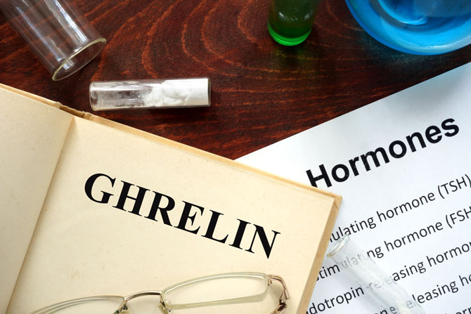 Ghrelin Top 10 Hormones That Help You Lose Weight