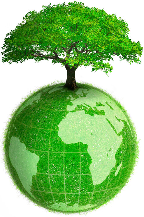 Plant a Tree Top 10 Ways to Make a Difference in the World - 9